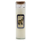 Velas de Hechizo Mágico ( 11 hechizos diferentes )