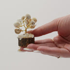 Árboles de Piedra Chakra Gomati ( 4 modelos )