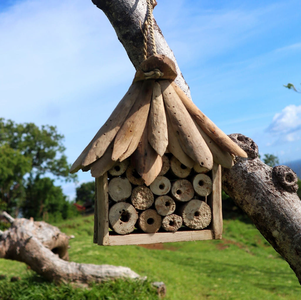 Comederos y Refugios para Pájaros, Abejas e Insectos ( 3 modelos )