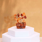 Mini Árboles de Piedras Preciosas ( 20 modelos )