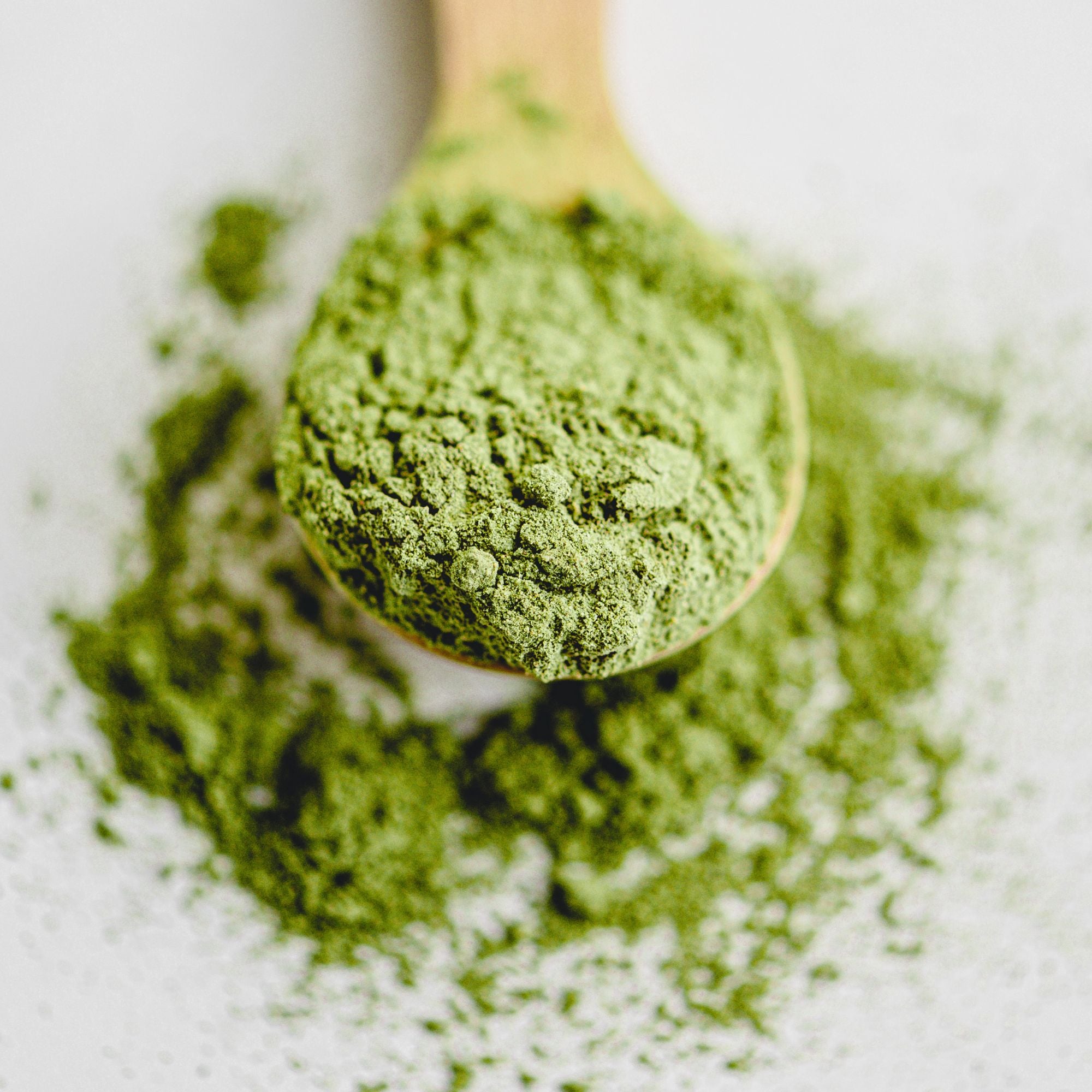 Té Matcha Culinario Orgánico 50gr