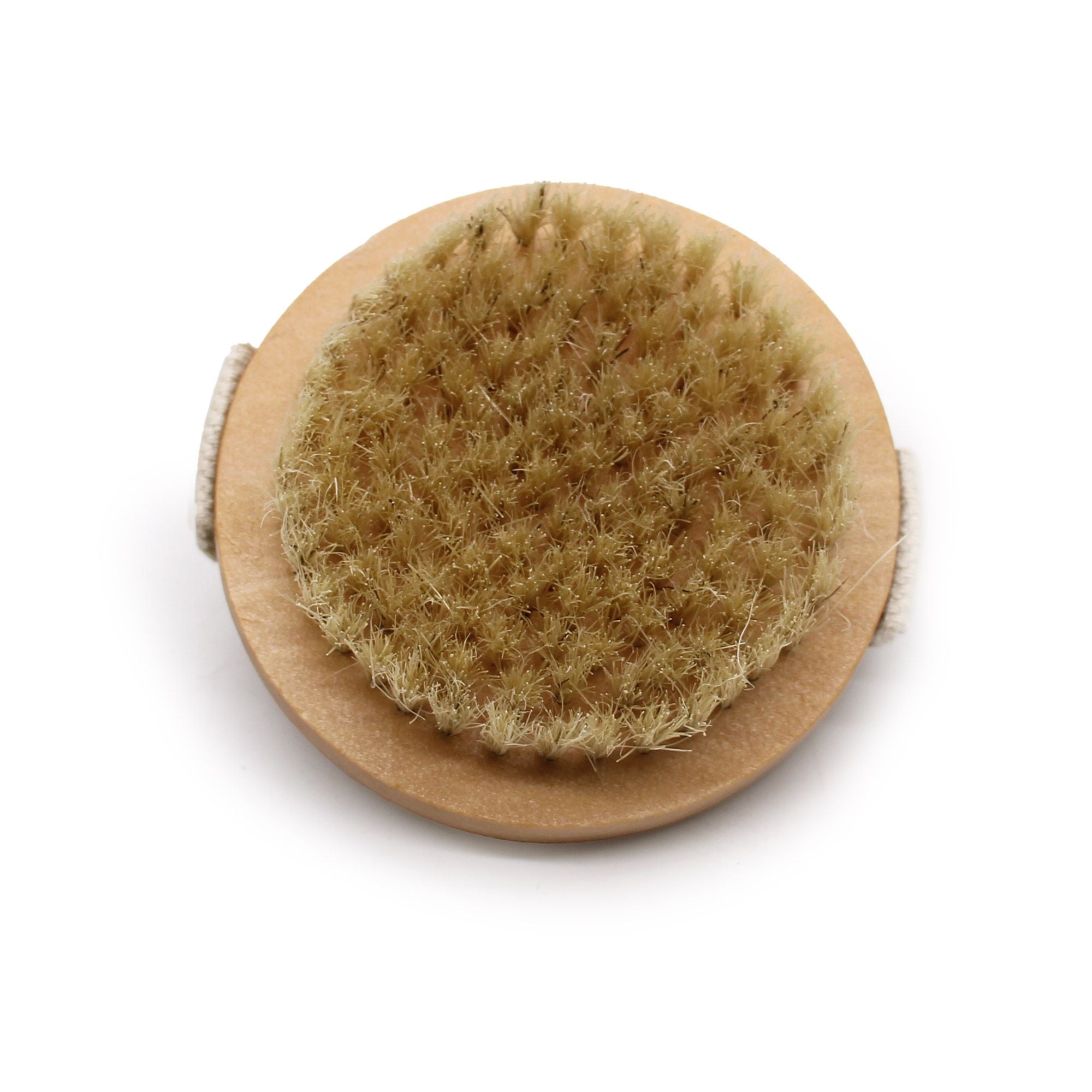 Cepillo Exfoliante Corporal ( 5 modelos )