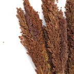 Manojo de Hierba Cantal