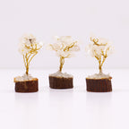 Mini Árboles de Piedras Preciosas ( 20 modelos )