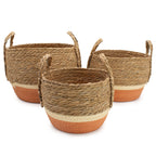 Cestas de Hoja de Plátano y Hierba Marina