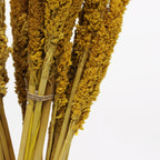 Manojo de Hierba Cantal