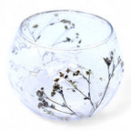 Portavelas de Vidrio floral natural Cuenco - Margarita - (8x10cm)