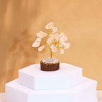 Mini Árboles de Piedras Preciosas ( 20 modelos )