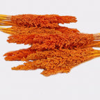 Manojo de Hierba Cantal