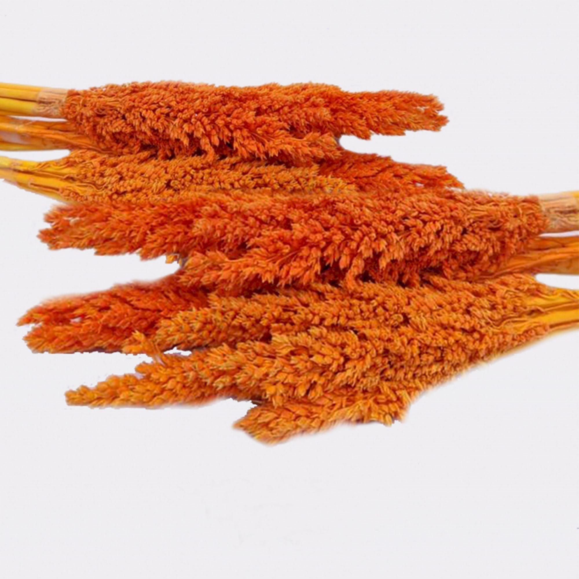 Manojo de Hierba Cantal