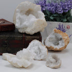 Geodes de Piedra de Calcita ( 9 variantes )