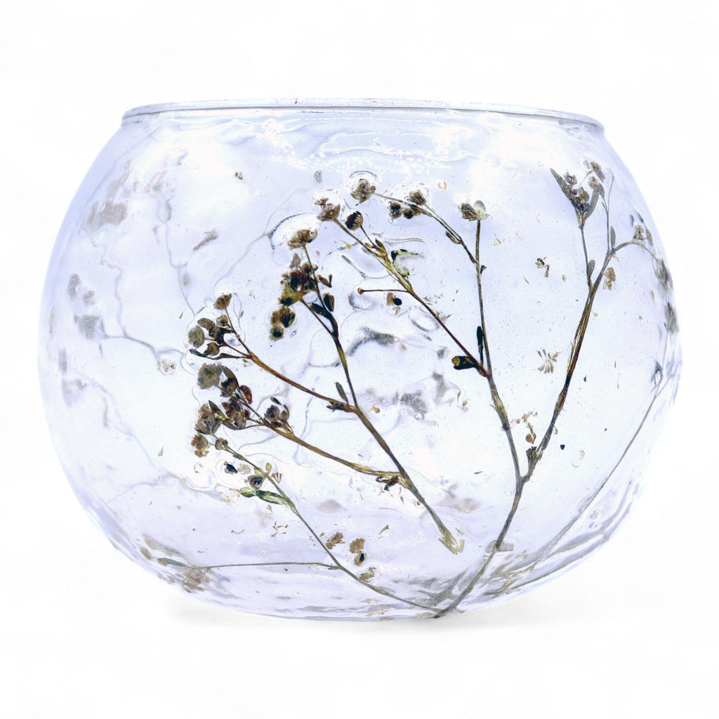 Portavelas de Vidrio floral natural Cuenco - Margarita - (8x10cm)