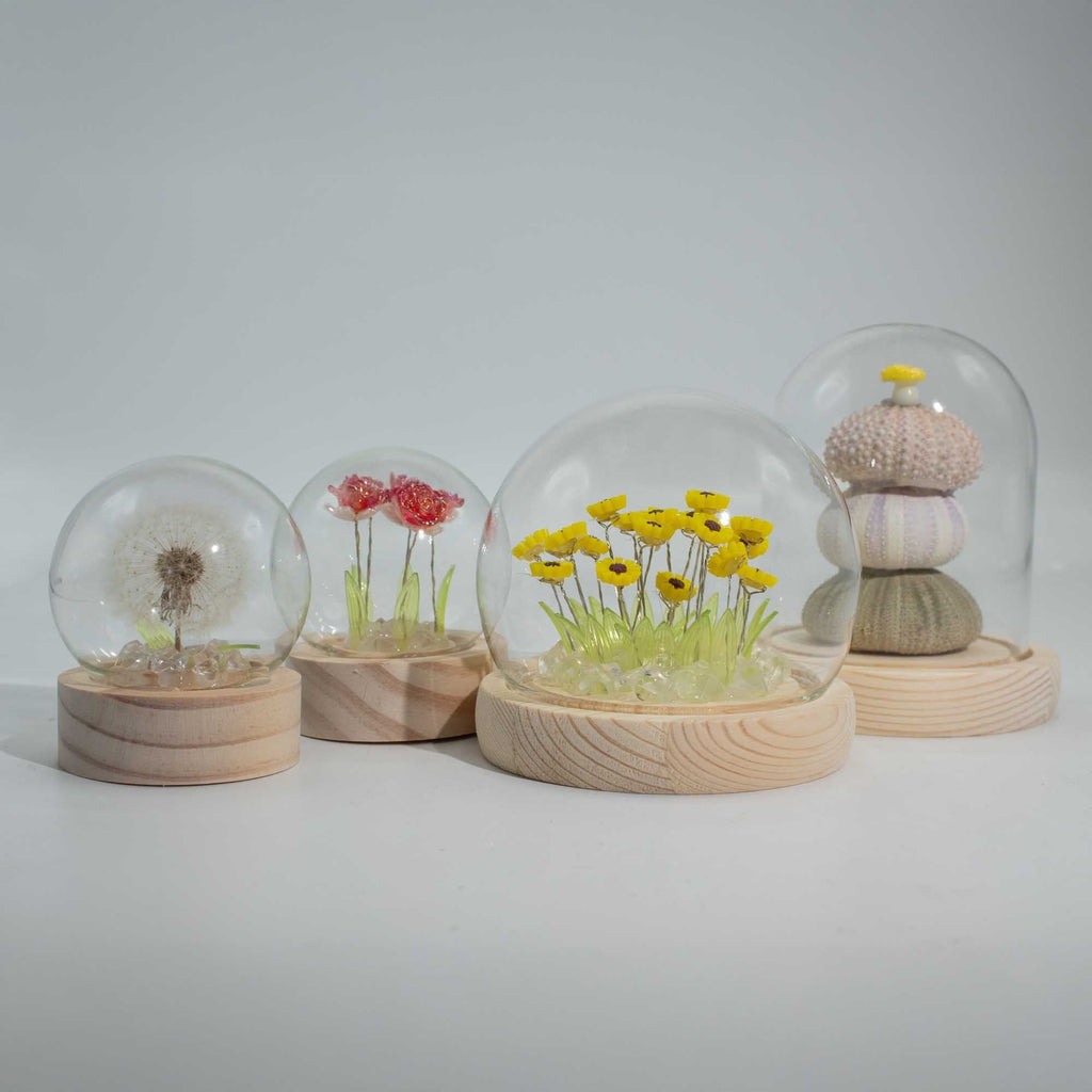 Domo de Jardín con Brillo Floral ( 9 modelos )