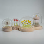 Domo de Jardín con Brillo Floral ( 9 modelos )