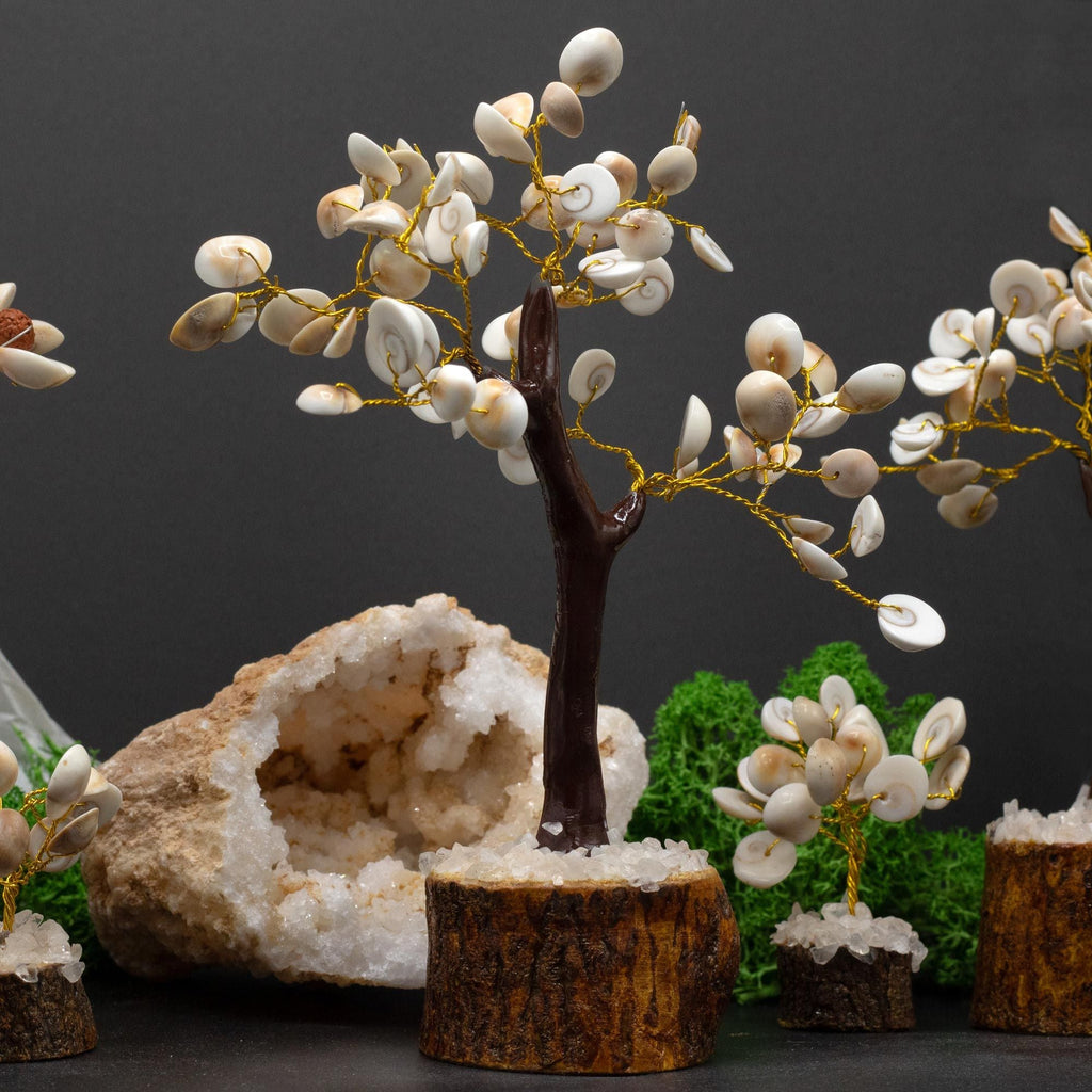 Árboles de Piedra Chakra Gomati ( 4 modelos )