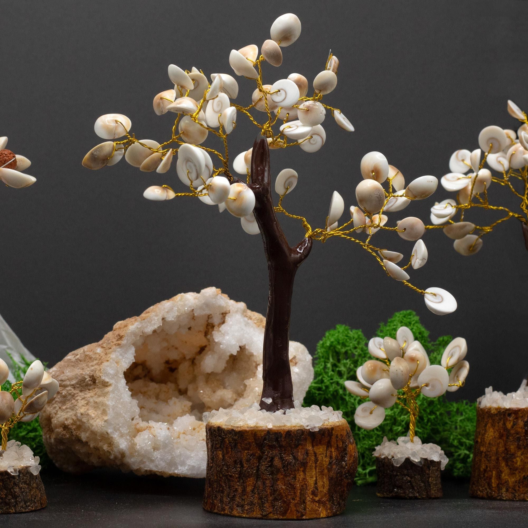 Árboles de Piedra Chakra Gomati ( 4 modelos )