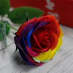 Flor de Jabón ( 10 flores diferentes )