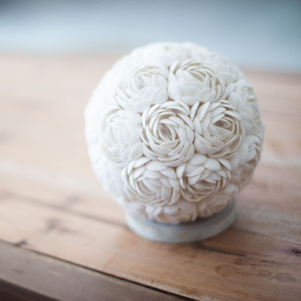 Lámpara Boho de Conchas Marinas ( 10 modelos )