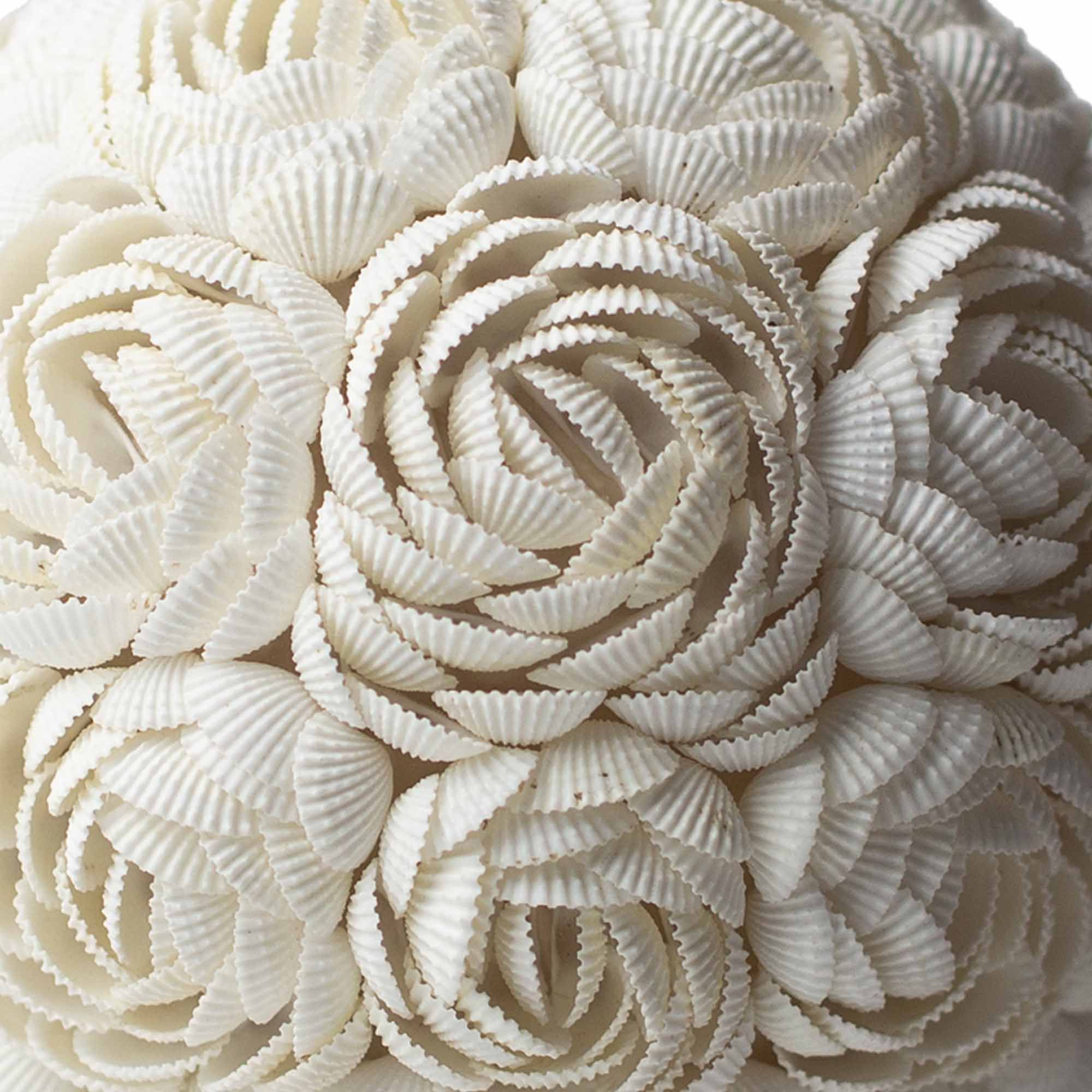 Lámpara Boho de Conchas Marinas ( 10 modelos )