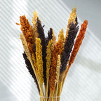 Manojo de Hierba Cantal - Negro
