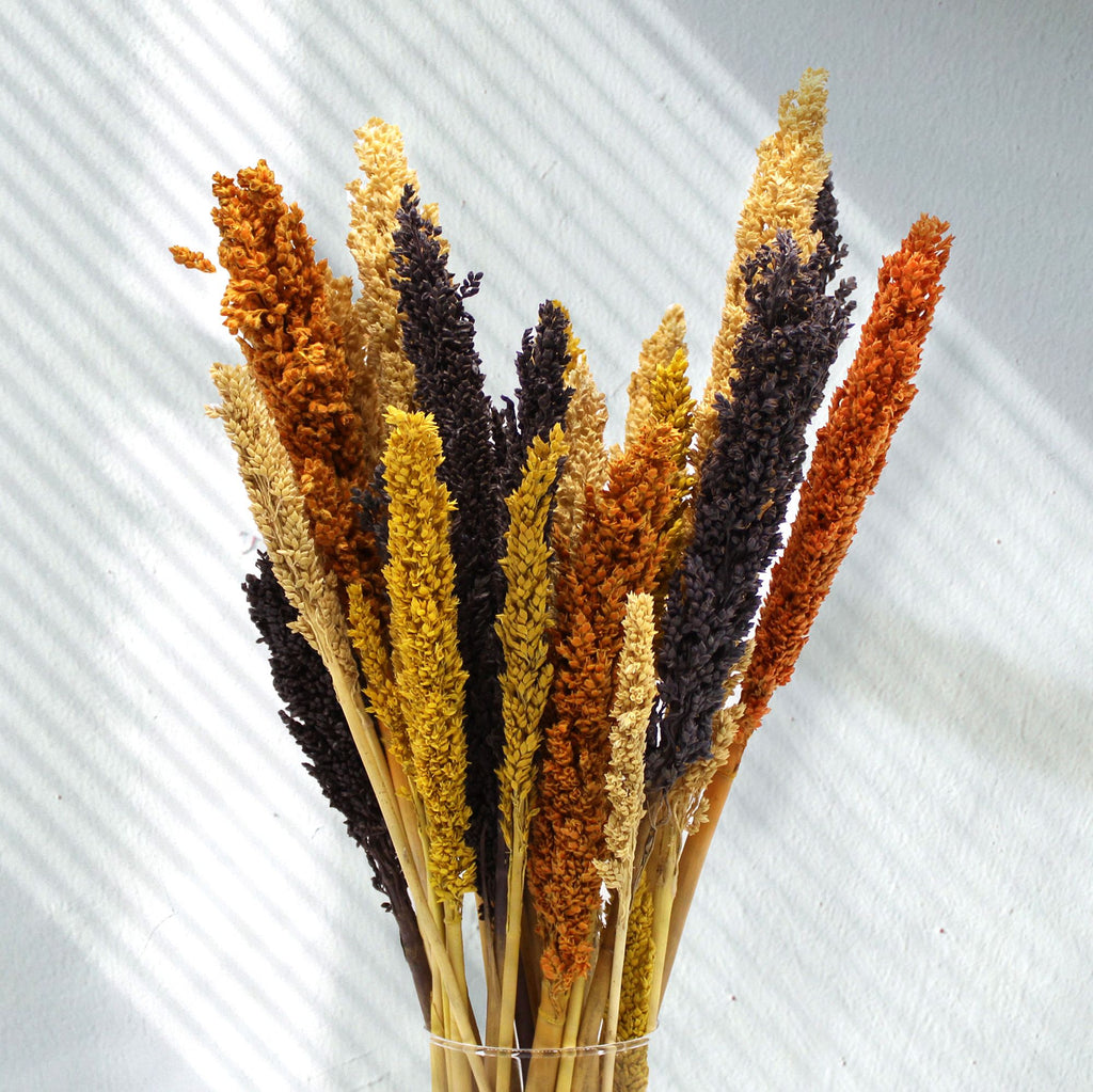 Racimo de Hierba Cantal - Naranja