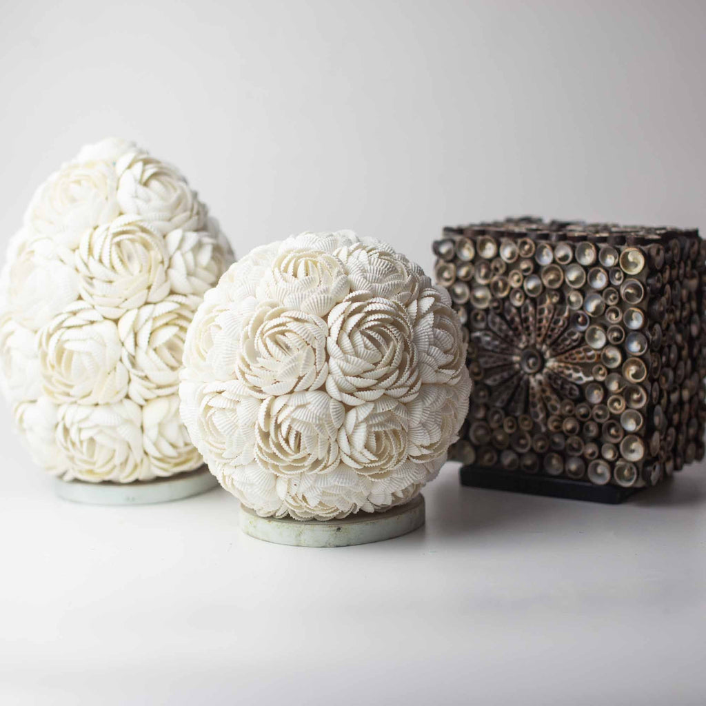 Lámpara Boho de Conchas Marinas ( 10 modelos )