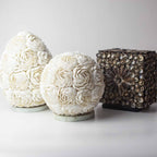 Lámpara Boho de Conchas Marinas ( 10 modelos )