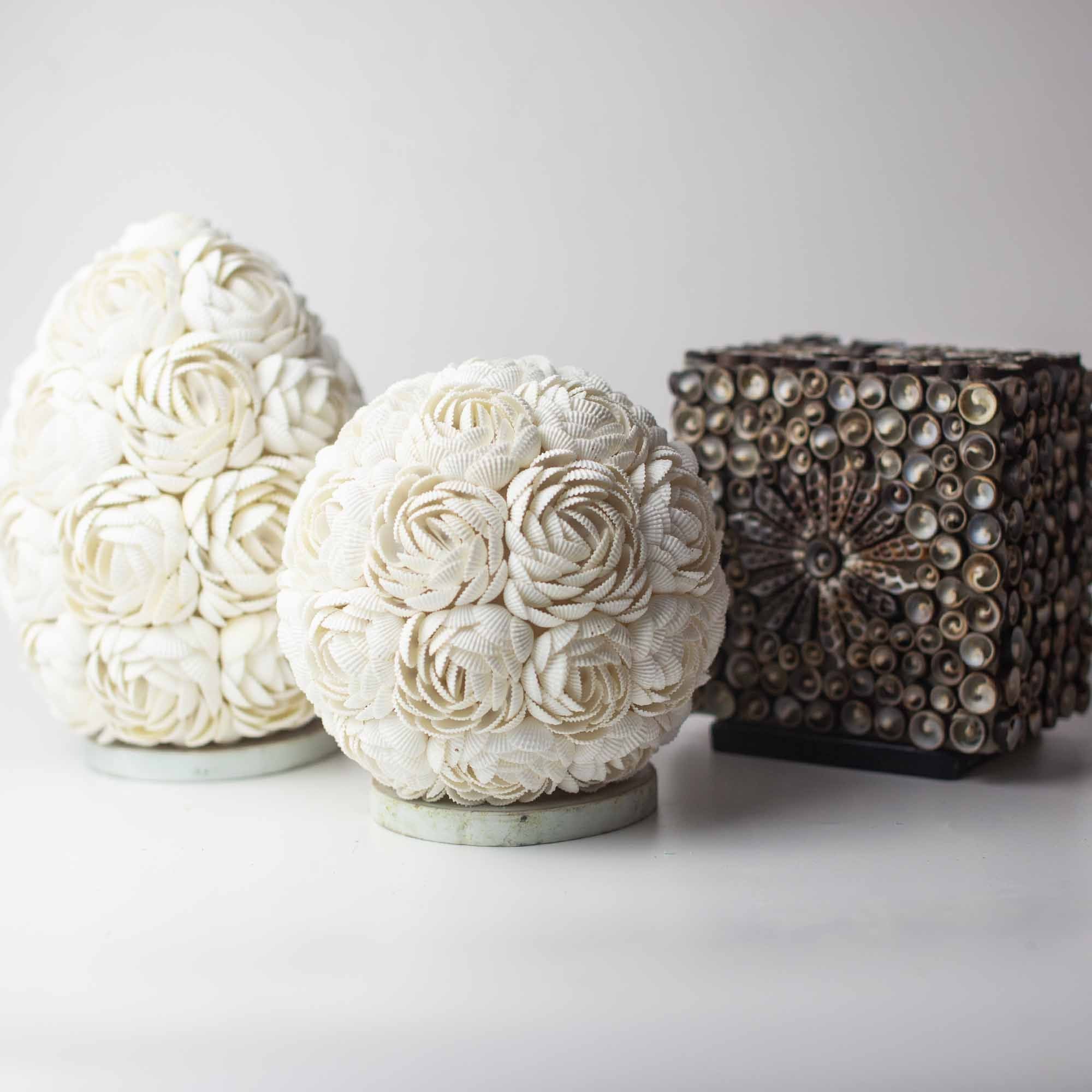 Lámpara Boho de Conchas Marinas ( 10 modelos )