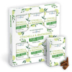 Conos de Incienso Naturales Stamford Premium (Base Vegetal) ( 9 variantes )