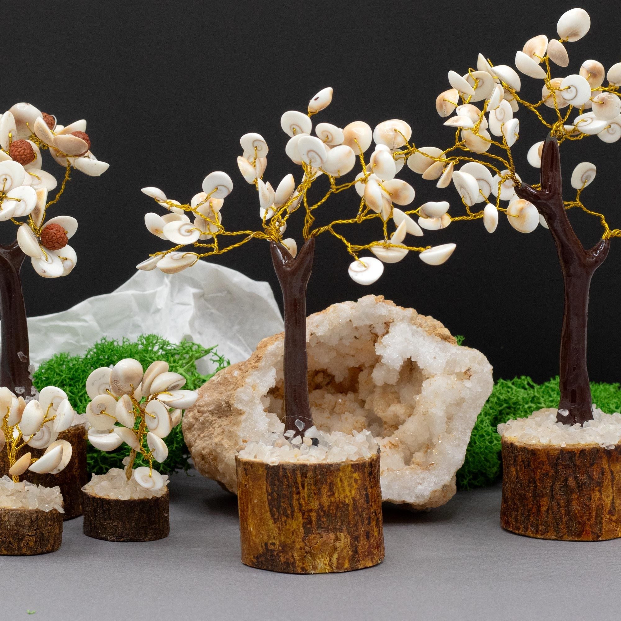 Árboles de Piedra Chakra Gomati ( 4 modelos )