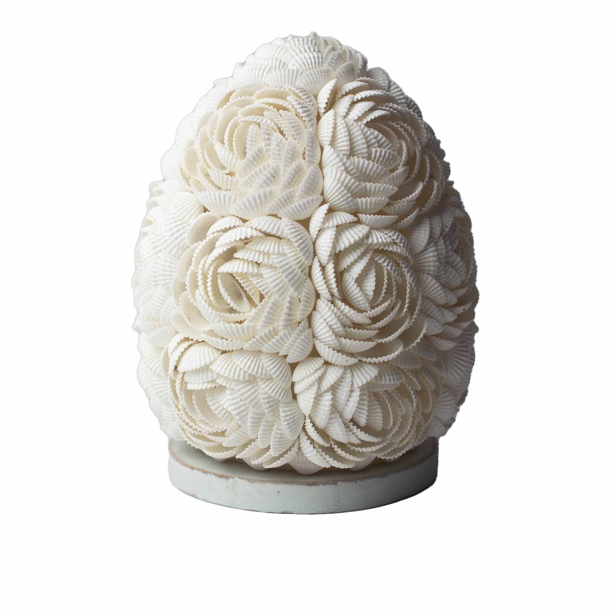 Lámpara Boho de Conchas Marinas ( 10 modelos )