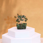 Mini Árboles de Piedras Preciosas ( 20 modelos )