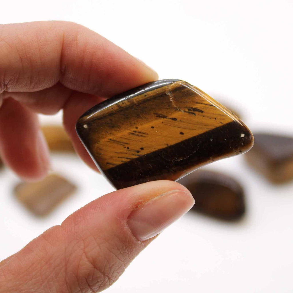 24x L Tumble Stones - Ojo de Tigre (dorada)