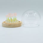 Domo de Jardín con Brillo Floral ( 9 modelos )