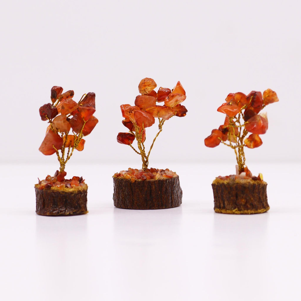 Mini Árboles de Piedras Preciosas ( 20 modelos )