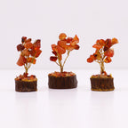 Mini Árboles de Piedras Preciosas ( 20 modelos )