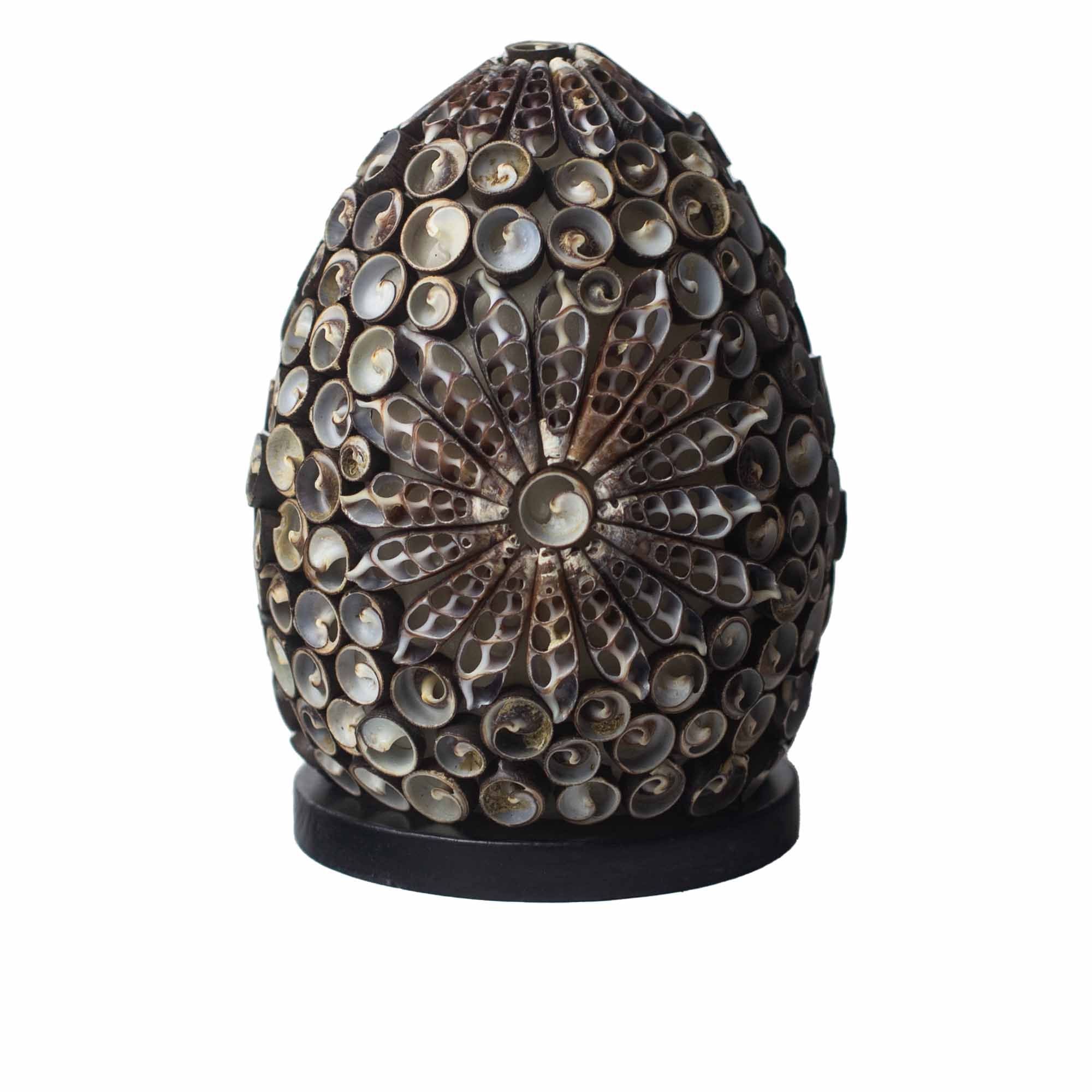 Lámpara Boho de Conchas Marinas ( 10 modelos )