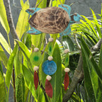 Carrillones de Madera y Vidrio Capiz ( 18 modelos )