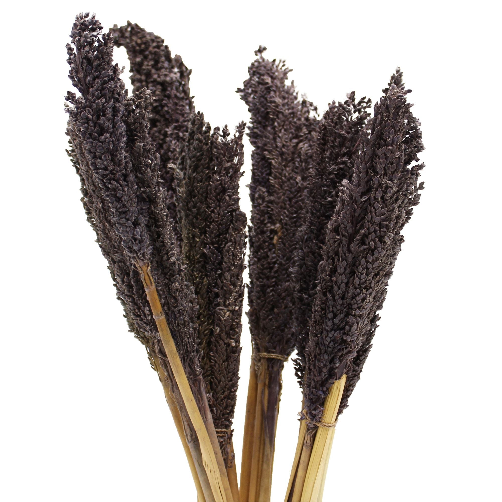 Manojo de Hierba Cantal
