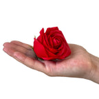 Caja de Regalo Flor de Jabón ( 7 modelos )