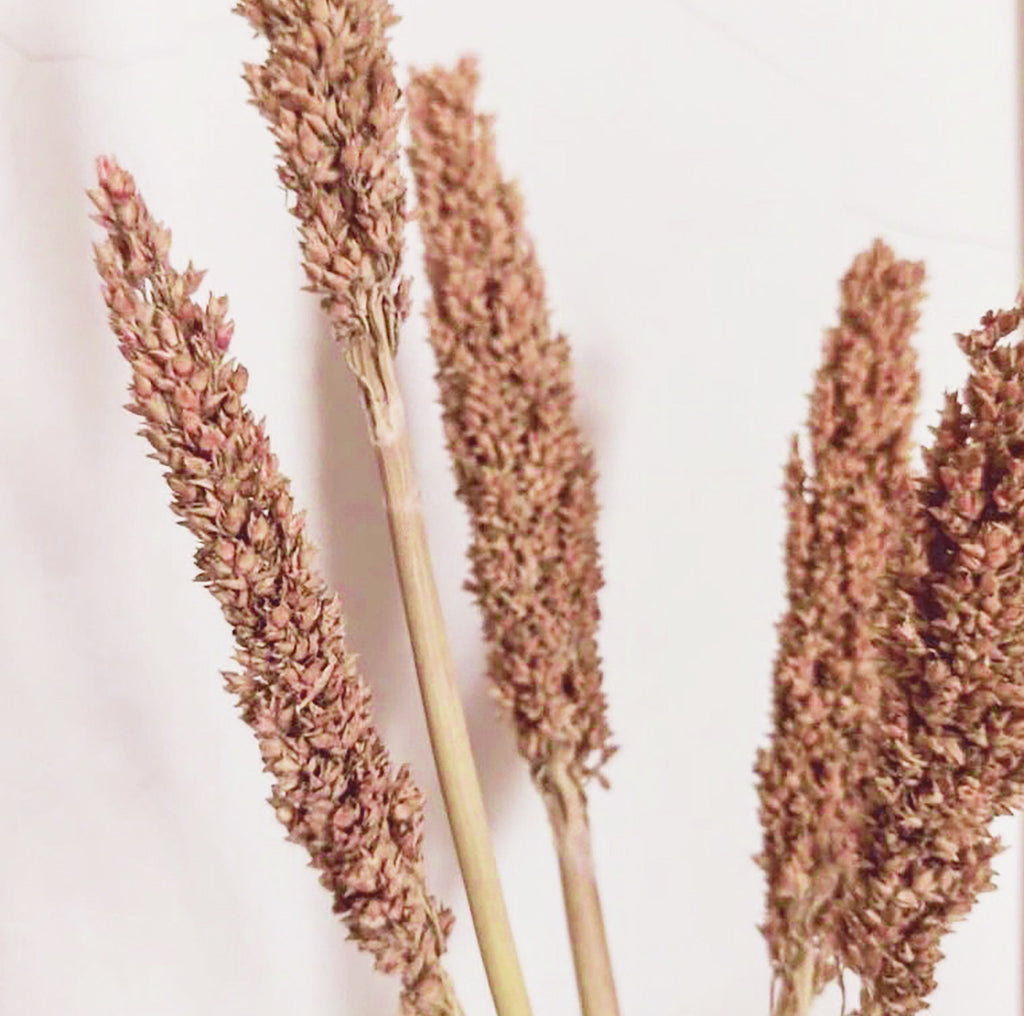 Manojo de Hierba Cantal