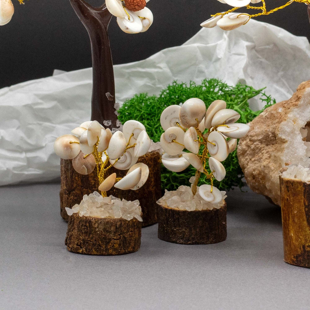 Árboles de Piedra Chakra Gomati ( 4 modelos )
