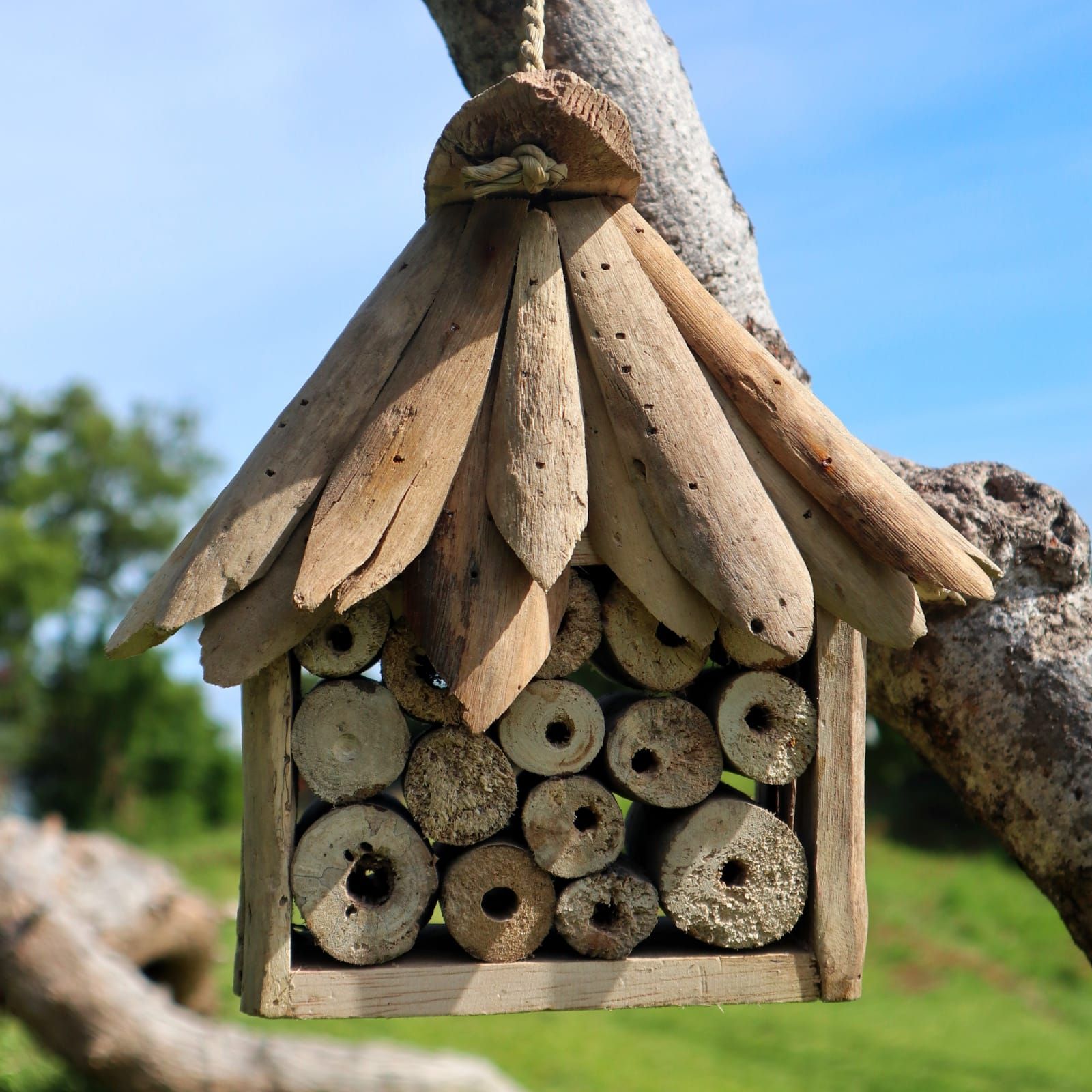 Comederos y Refugios para Pájaros, Abejas e Insectos ( 3 modelos )