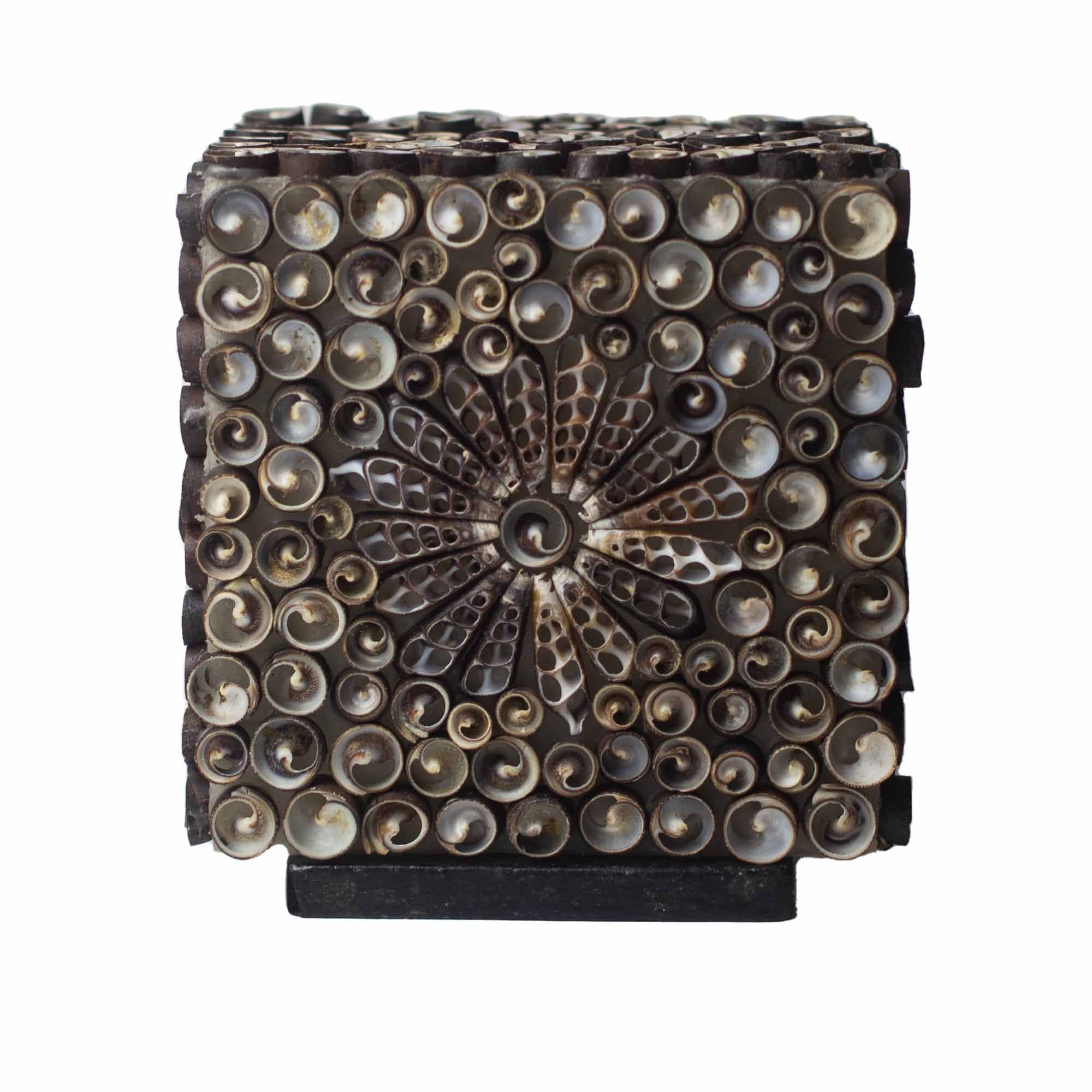 Lámpara Boho de Conchas Marinas ( 10 modelos )