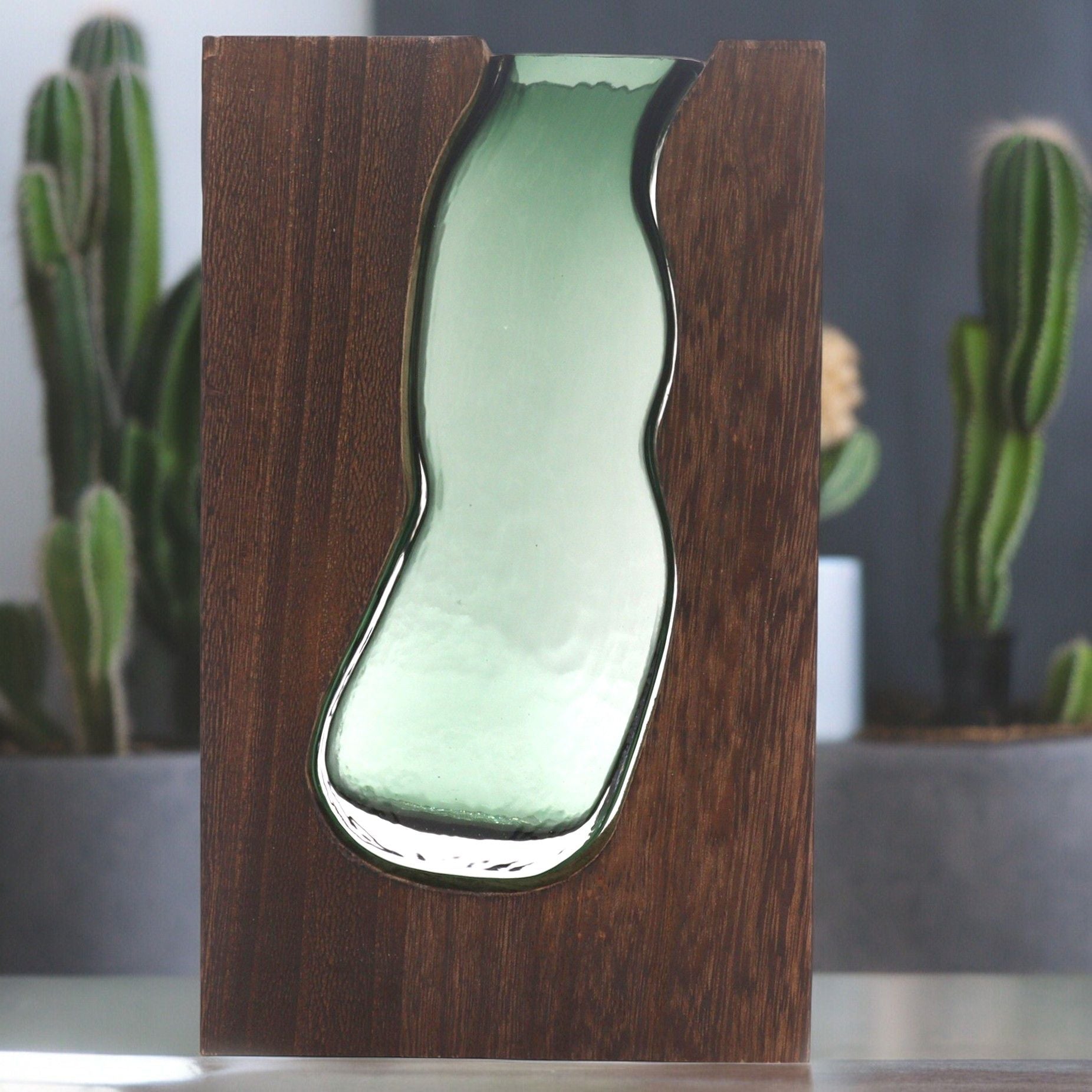 Terrarios de Vidrio ( 16 modelos )