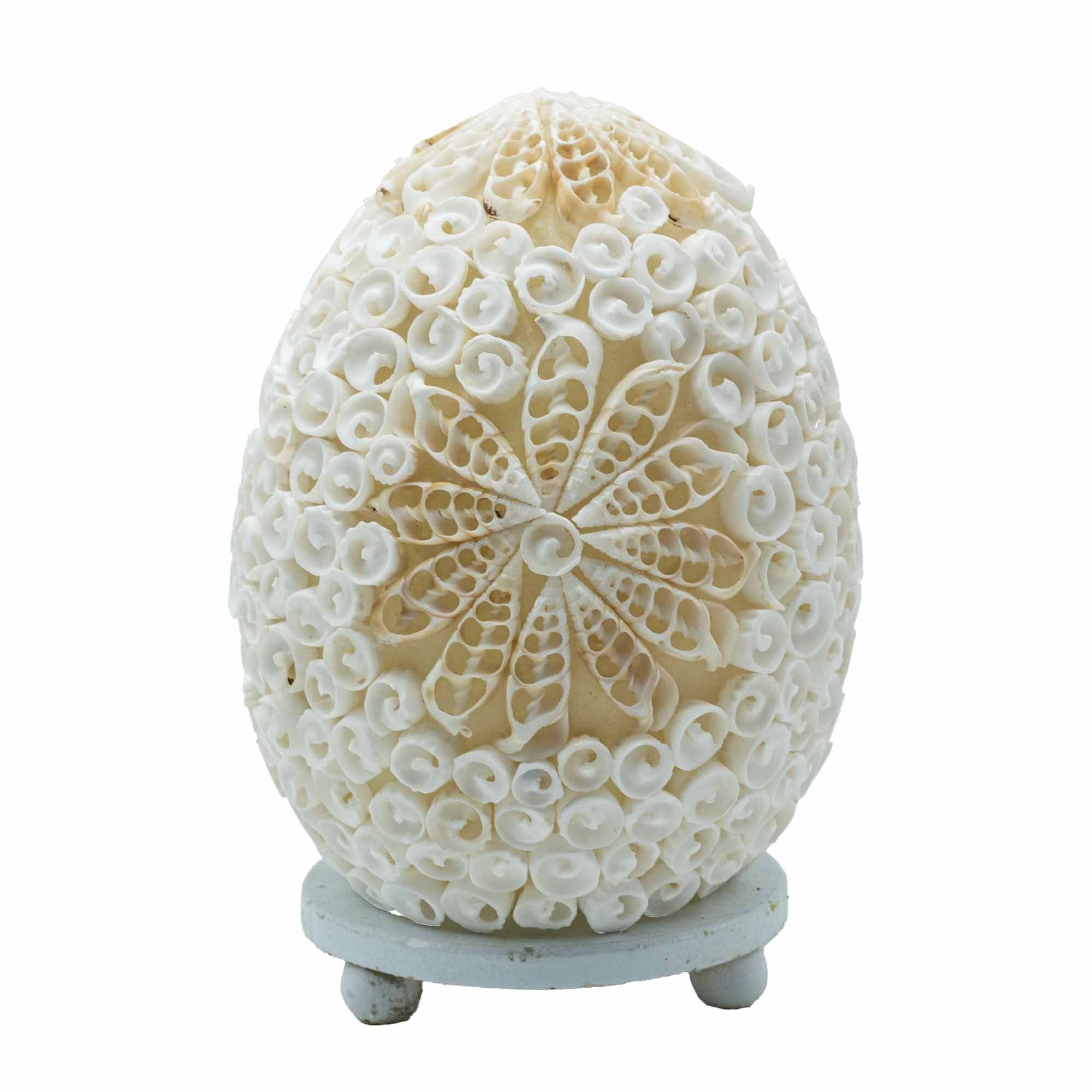 Lámpara Boho de Conchas Marinas ( 10 modelos )