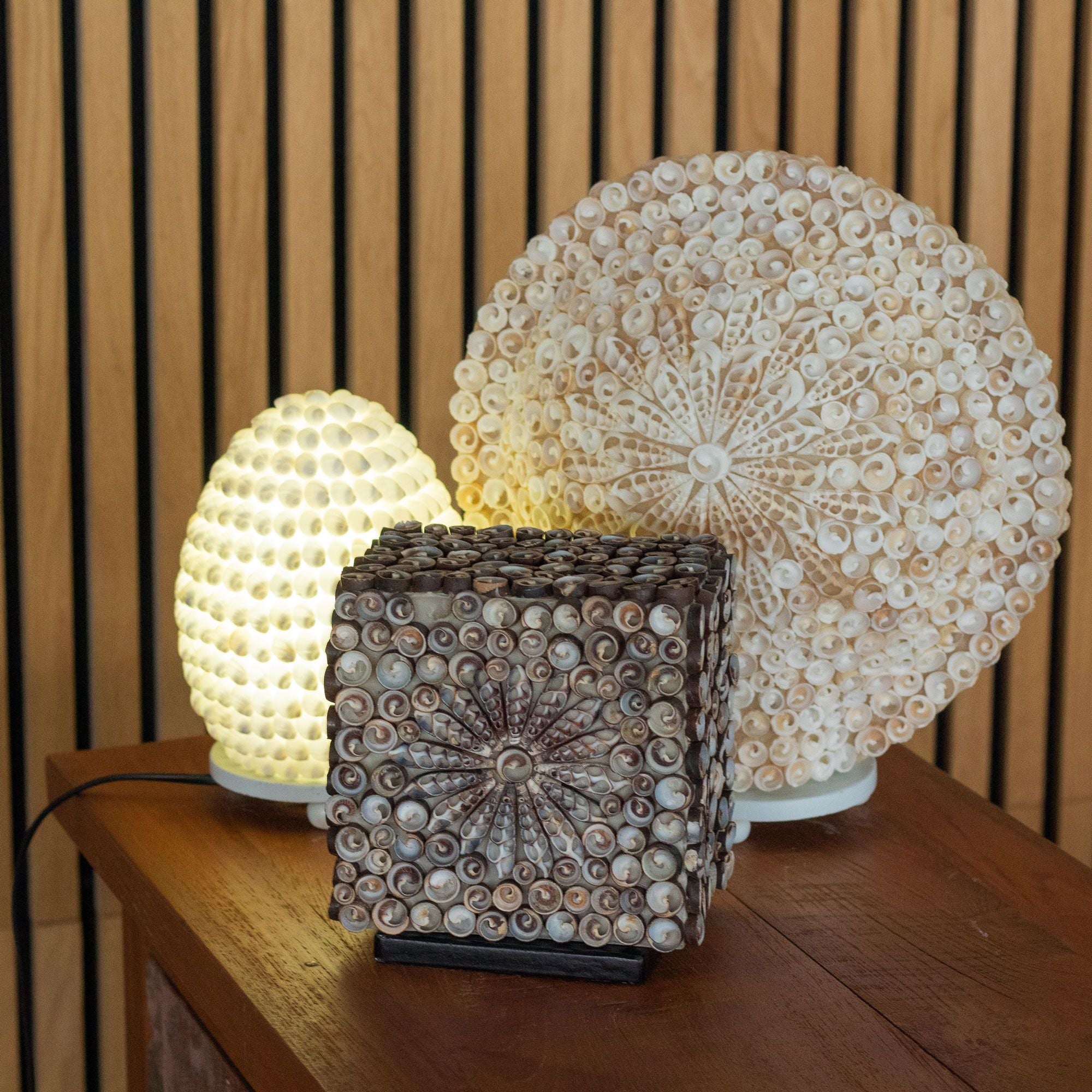 Lámpara Boho de Conchas Marinas ( 10 modelos )