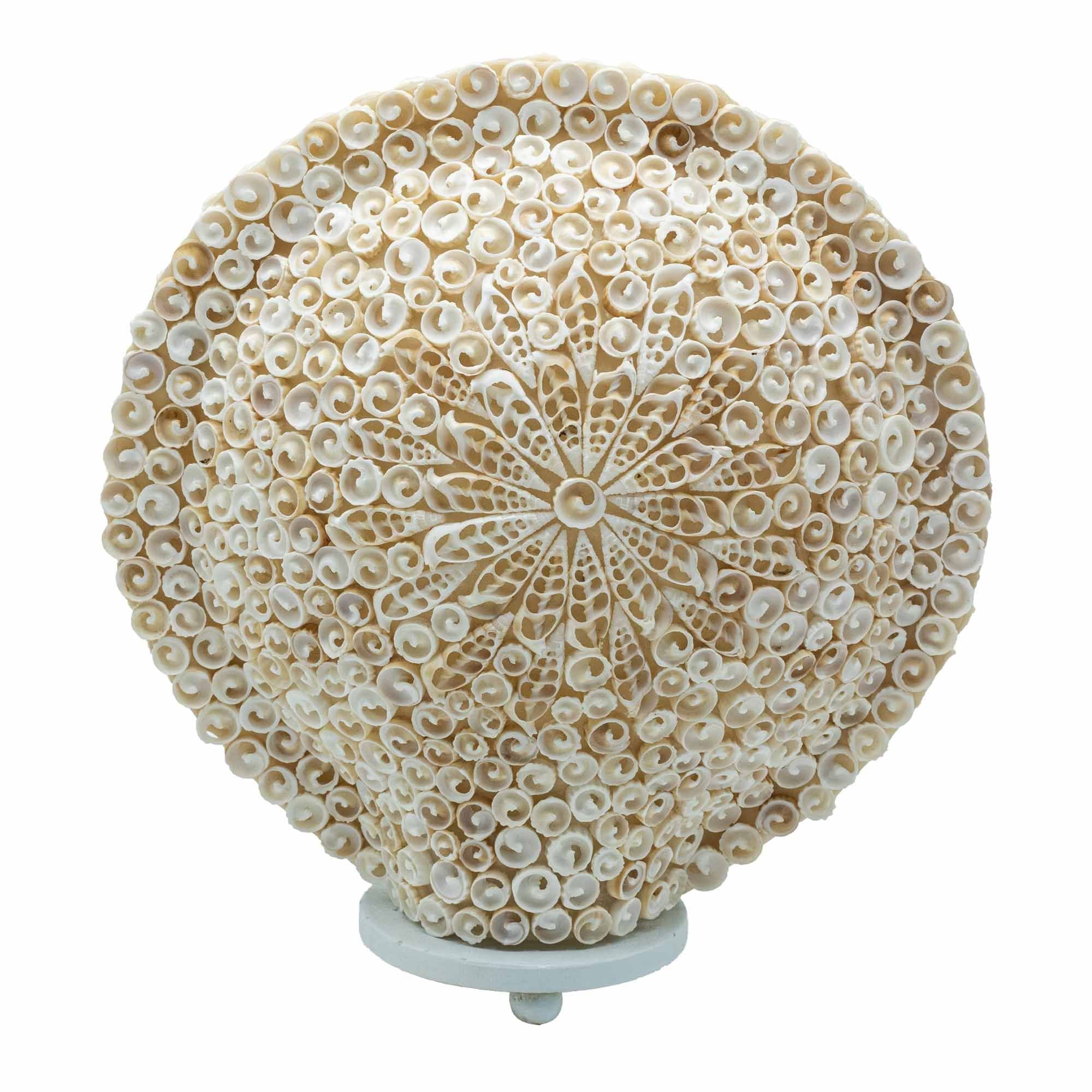 Lámpara Boho de Conchas Marinas ( 10 modelos )