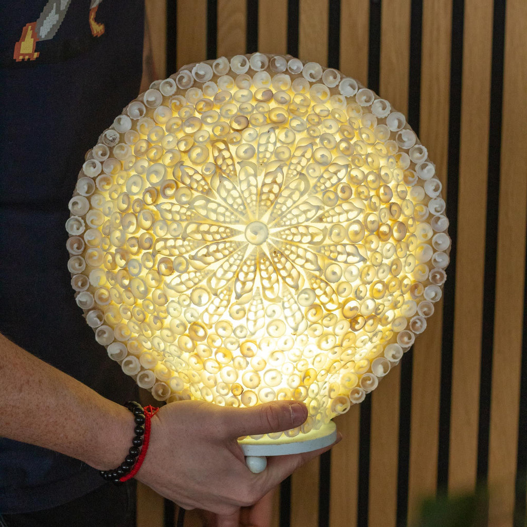 Lámpara Boho de Conchas Marinas ( 10 modelos )