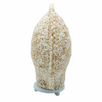 Lámpara Boho de Conchas Marinas ( 10 modelos )